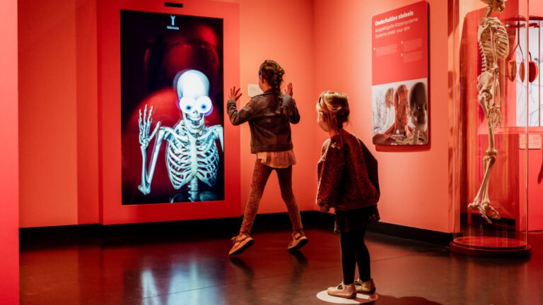 Discovery Jeugd Colleges — familie-kids in Kerkrade